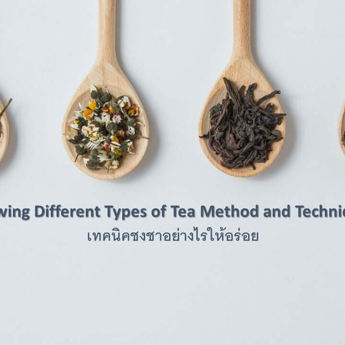  Brewing Different Types of Tea Method and Techniques: ชาแต่ละชนิดต่างกันอย่างไร และชงชาอย่างไรให้อร่อย 