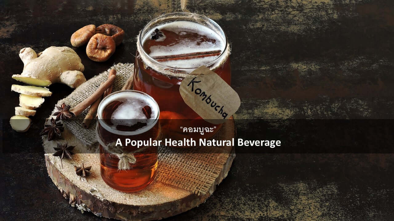 Kombucha: A Popular Natural Health Beverage คอมบูฉะ (Kombucha): รู้จักกับเครื่องดื่มสุขภาพยอดนิยมจากธรรมชาติ